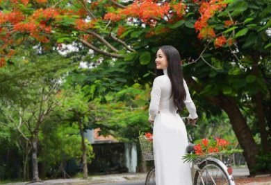 Tình Thơ...