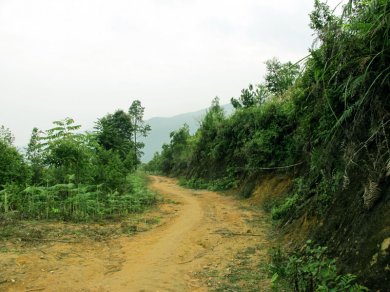 Đi Lộn Vào Làng