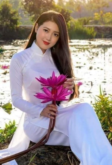 Bông Súng