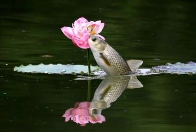 Chớm Thu