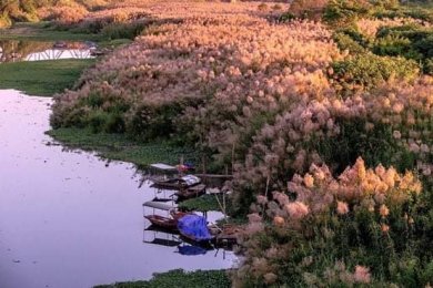 Chiều