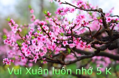 Vui Xuân Cảnh Giác