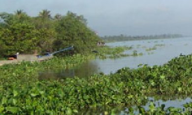 Tơ Duyên