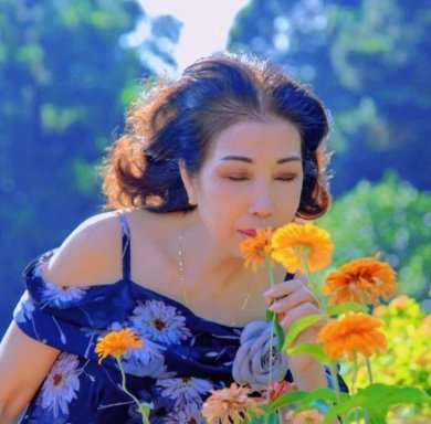 Đóa Cúc Quỳ