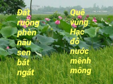 Sắc Quê