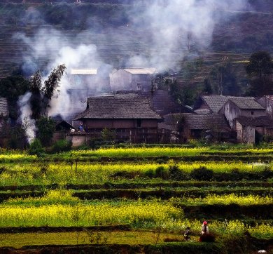 Chiều Quê