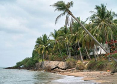 Nam  Phố Trừng Ba