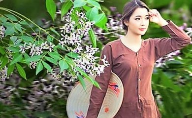Màu Hoa Xoan