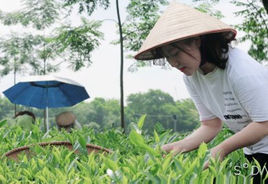 Mỏi Mòn