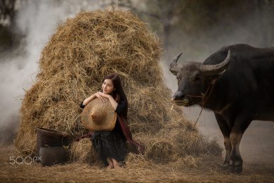 Bấm Bụng