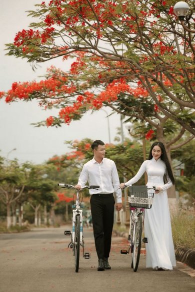 Trồng Cây Si