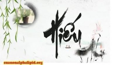 Cái Nợ Luân Hồi