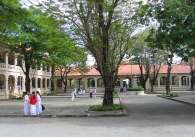 Như Chưa Từng Giã Biệt