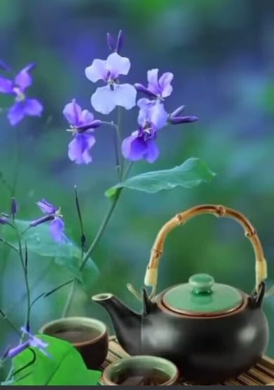 Duyên Xuân