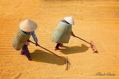 Không Thể Quên(Bài Hoạ)