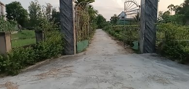 Ký Ức (Hoạ)Nhắn Nhủ (Xướng)