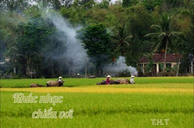 Khúc Nhạc Chiều Vơi