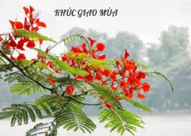 Khúc Giao Mùa