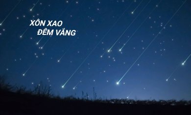 Xôn Xao Đêm Vắng