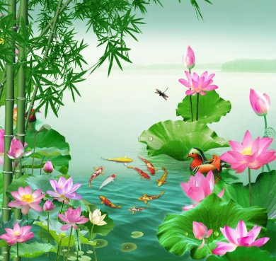 Hạ Lắng