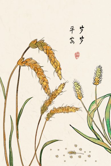Ngẫm