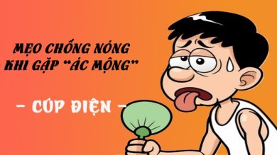 Luân Phiên... Đúng Lịch Trình