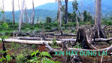 Xin Hãy Dùng Lại