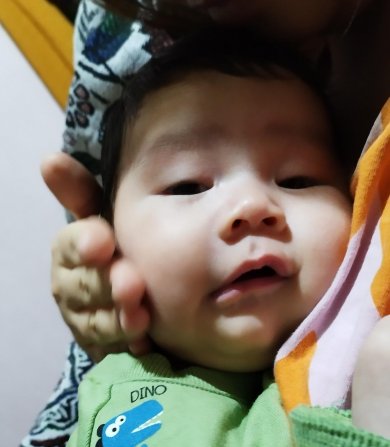 Gil Về Thăm Ngoại