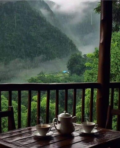 Sum Họp Bạn Bè