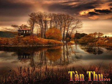 Tàn Thu