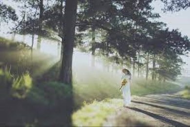Tản Mạn