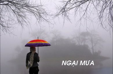 Ngại Mưa