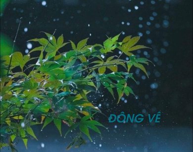 Đông Về
