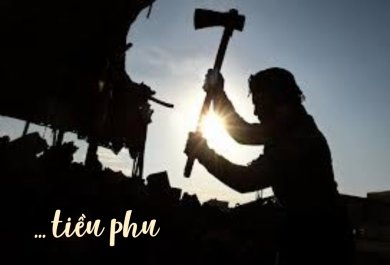 Tiều Phu