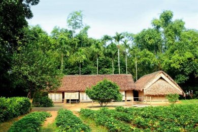 Xứ Nghệ Trong Tôi