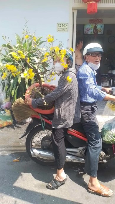 Tình Già Vui Xuân