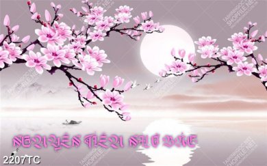 Nguyên Tiêu Nhớ Bác