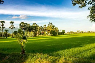 Miền Quê Nắng Gió