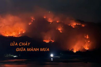 Lửa Cháy Giữa Mành Mưa