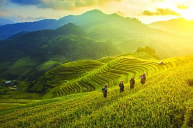 Hạt Nắng Vô Thường