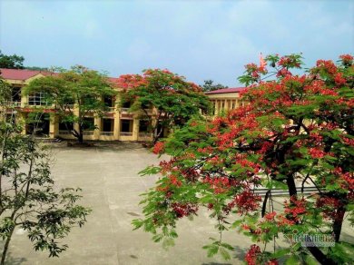 Hè Sang Trống Vắng Sân Trường