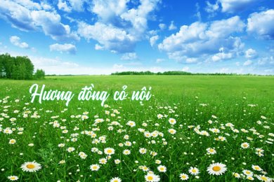 Hương Đồng Cỏ Nội