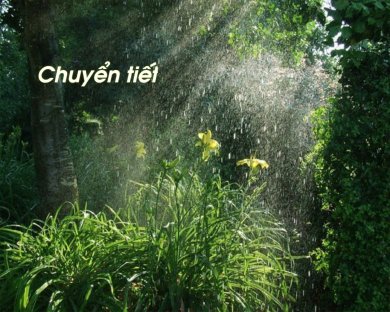 Chuyển Tiết