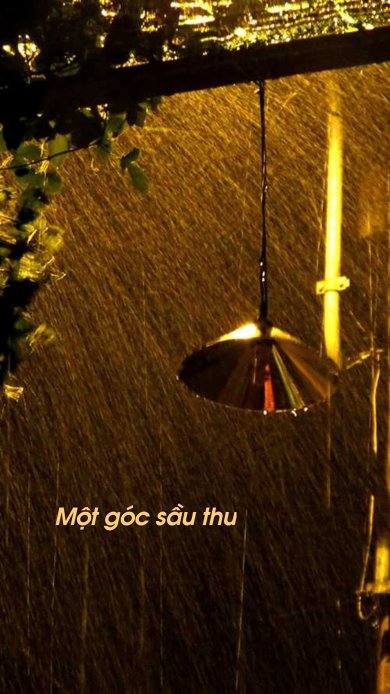 Một Góc Sầu Thu