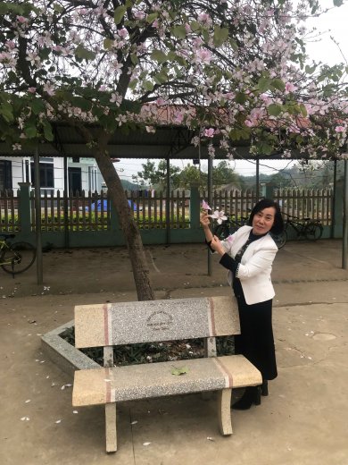 Hoa Ban