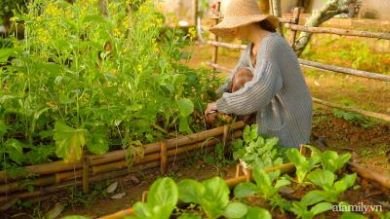 Quả Báo Nhãn Tiền